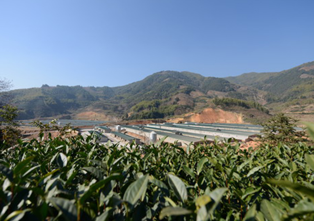 PA�콢��ƽ̨(�й���)�ٷ���վ-PA PlayAce