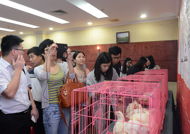 PAÆì½¢Ìüƽ̨(ÖйúÇø)¹Ù·½ÍøÕ¾-PA PlayAce