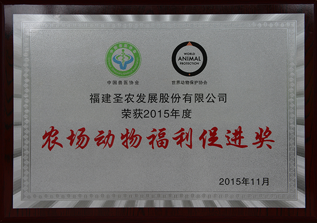 PA�콢��ƽ̨(�й���)�ٷ���վ-PA PlayAce