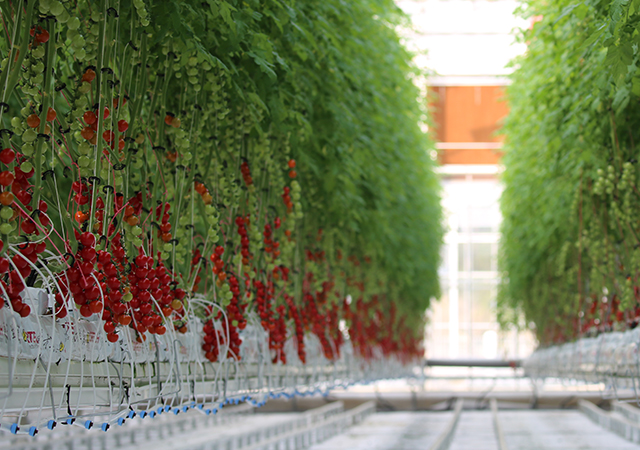 PA旗舰厅平台(中国区)官方网站-PA PlayAce