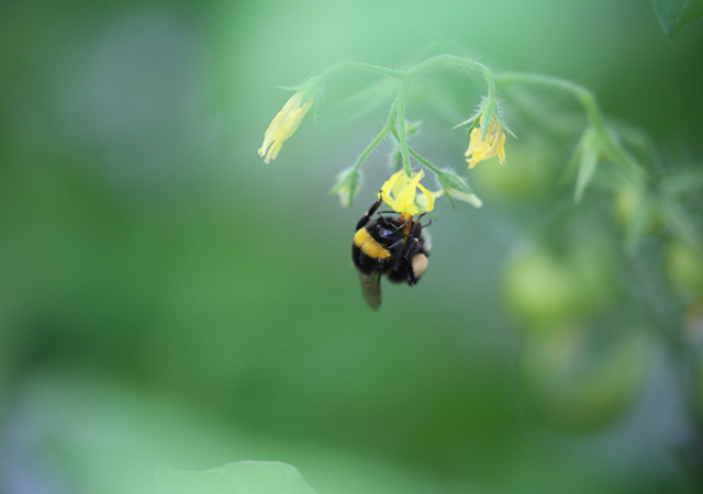 PA旗舰厅平台(中国区)官方网站-PA PlayAce