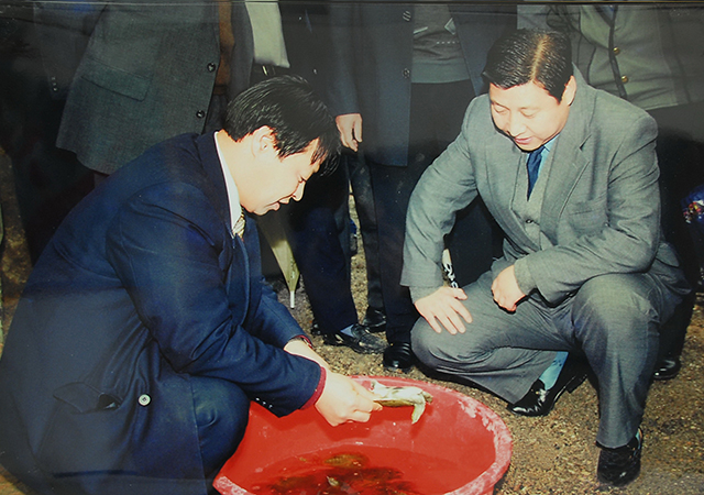 PA�콢��ƽ̨(�й���)�ٷ���վ-PA PlayAce