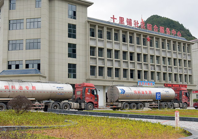 PAÆì½¢Ìüƽ̨(ÖйúÇø)¹Ù·½ÍøÕ¾-PA PlayAce