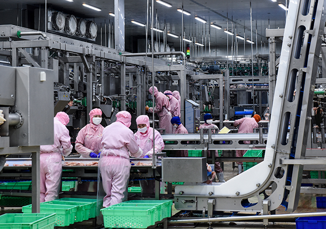 PA�콢��ƽ̨(�й���)�ٷ���վ-PA PlayAce