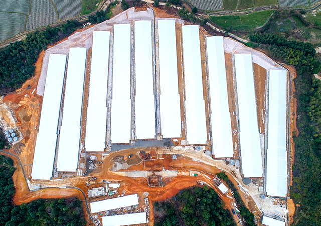 PA�콢��ƽ̨(�й���)�ٷ���վ-PA PlayAce