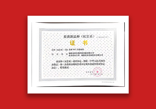 PA�콢��ƽ̨(�й���)�ٷ���վ-PA PlayAce